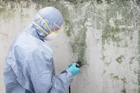 Best Comprehensive Air Testing for Mold Contaminants  in Lambert, MS